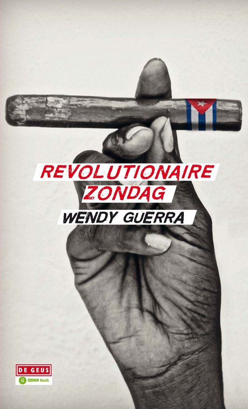 Revolutionaire zondag — boekomslag