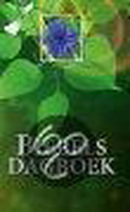 Biebels Dagboek — boekomslag