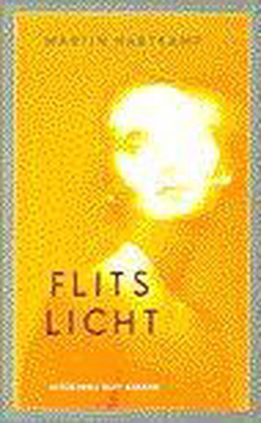 Flitslicht — boekomslag
