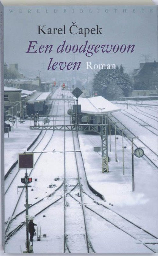 Een doodgewoon leven — boekomslag
