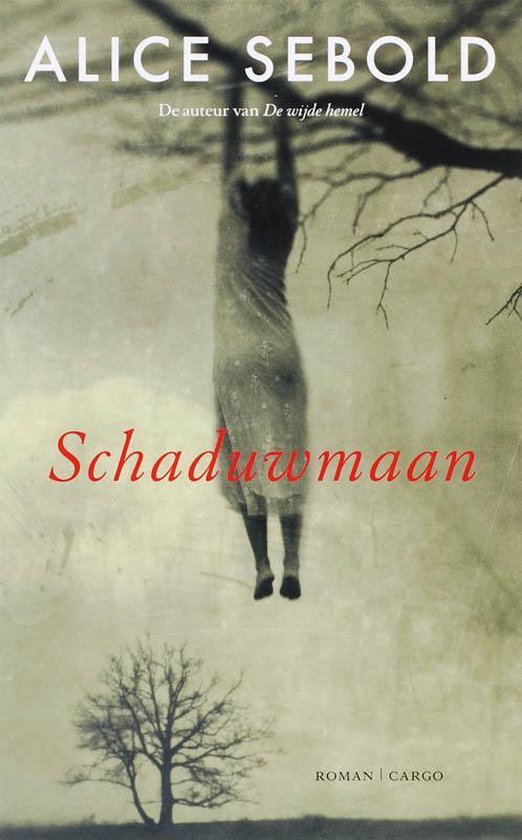 Schaduwmaan — boekomslag