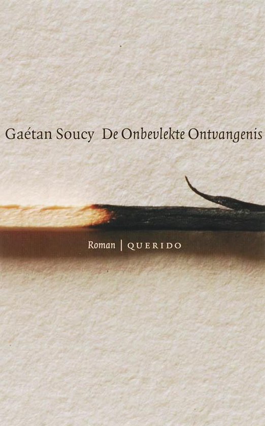 Onbevlekte Ontvangenis — boekomslag