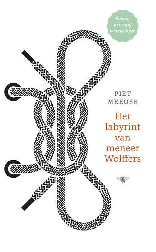 Het labyrint van meneer Wolffers — boekomslag
