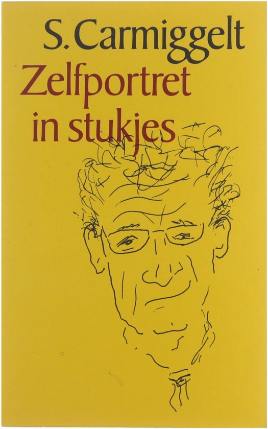 Zelfportret in stukjes — boekomslag