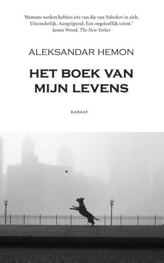 Het boek van mijn levens — boekomslag