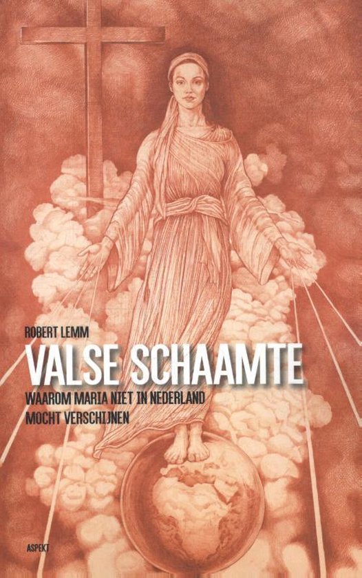 Valse schaamte — boekomslag