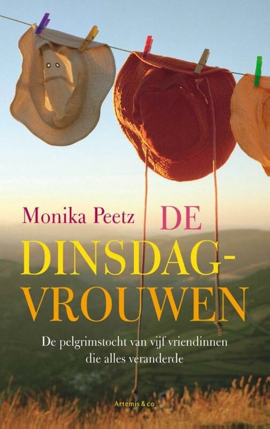 De dinsdagvrouwen 1 - De dinsdagvrouwen — boekomslag