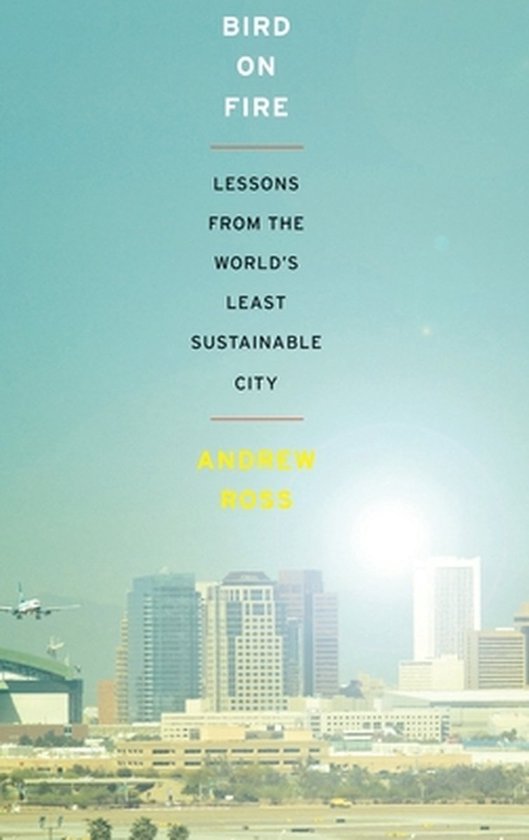 Bird on Fire: Lessons from the World's Least Sustainable City — boekomslag