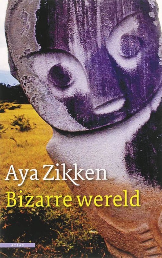 Bizarre wereld — boekomslag