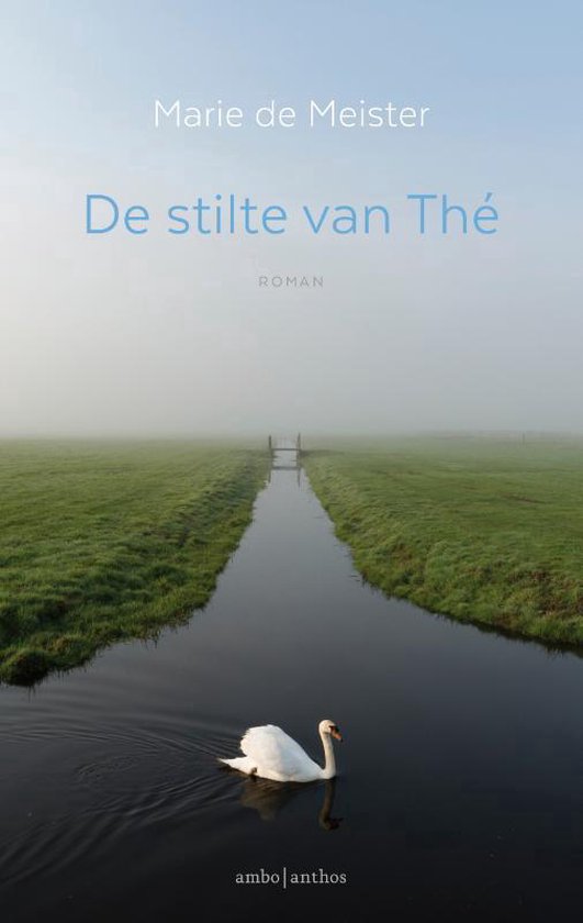 De stilte van Thé — boekomslag