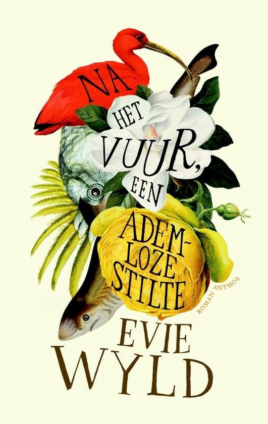 Na het vuur, een ademloze stilte — boekomslag