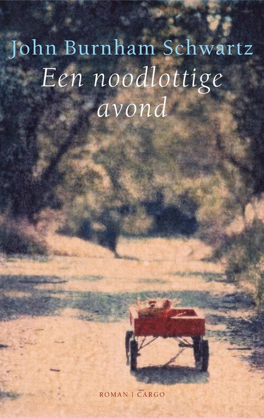 De noodlottige avond — boekomslag