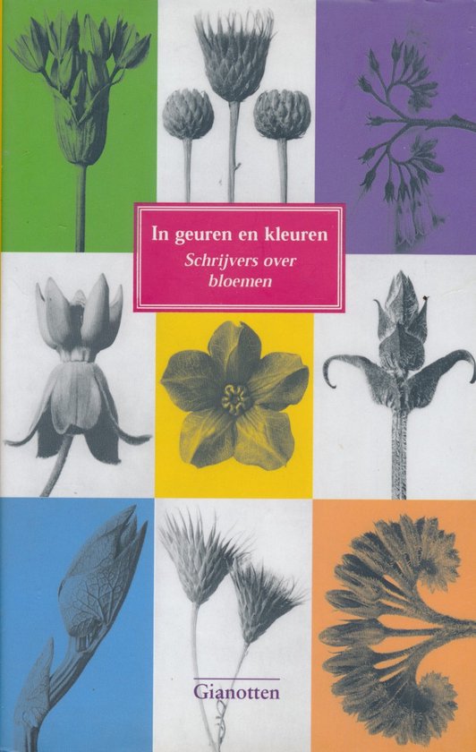 In Geuren En Kleuren — boekomslag