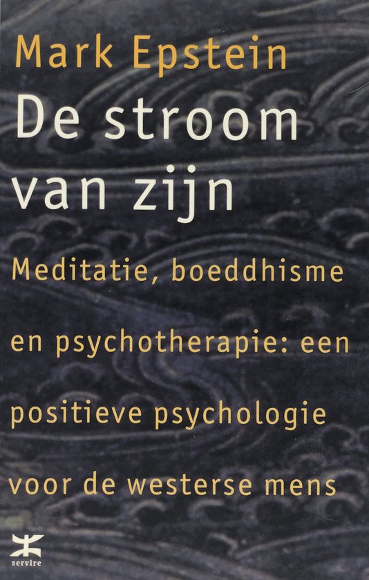 Stroom Van Zijn — boekomslag