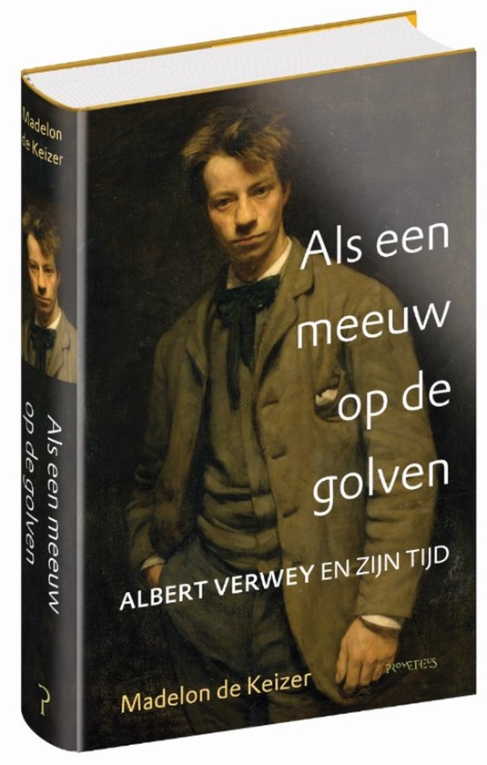 Als een meeuw op de golven — boekomslag