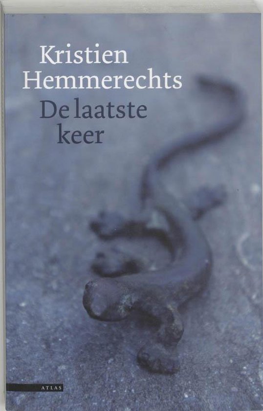 De laatste keer — boekomslag