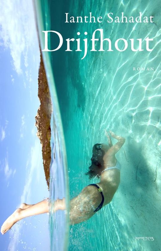 Drijfhout — omslag