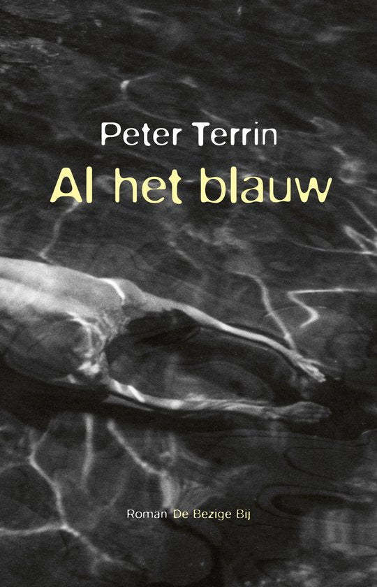Al het blauw — boekomslag