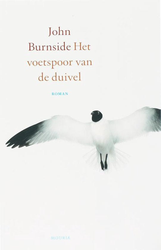 Het Voetspoor Van De Duivel — boekomslag