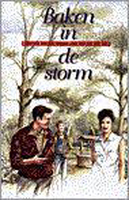 Baken in de storm — boekomslag