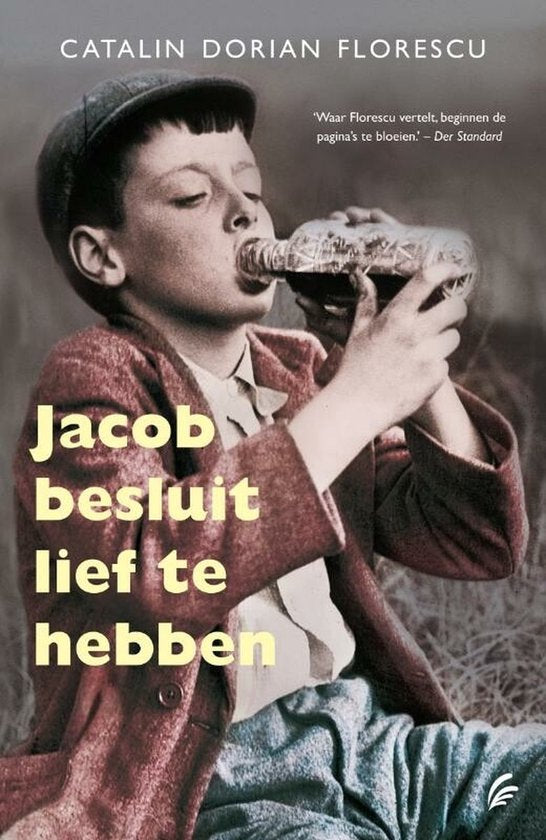 Jacob Besluit Lief Te Hebben — boekomslag