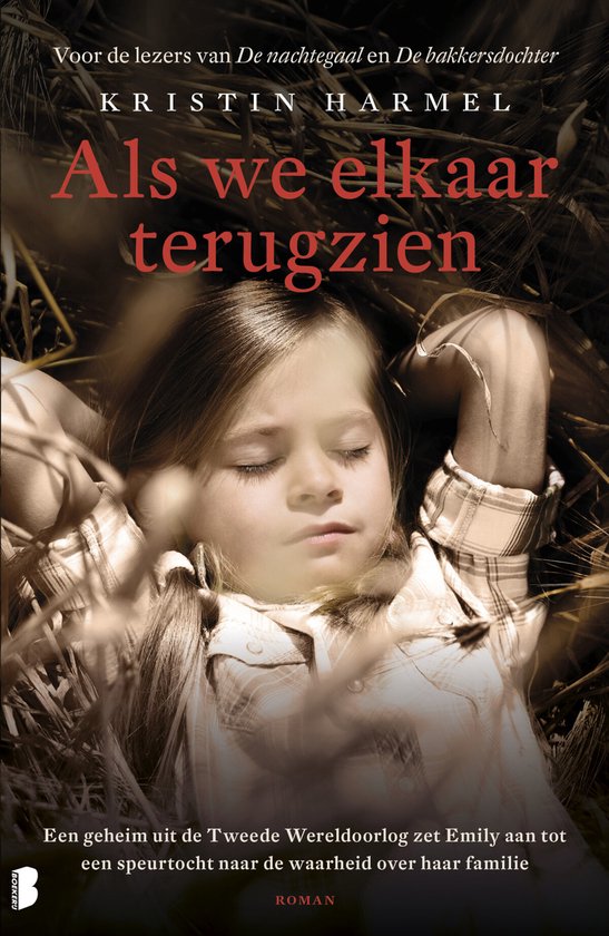 Als we elkaar terugzien — boekomslag