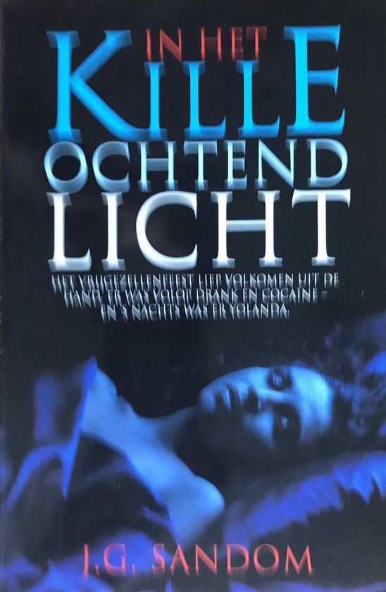 In het kille ochtendlicht - Sandom — boekomslag