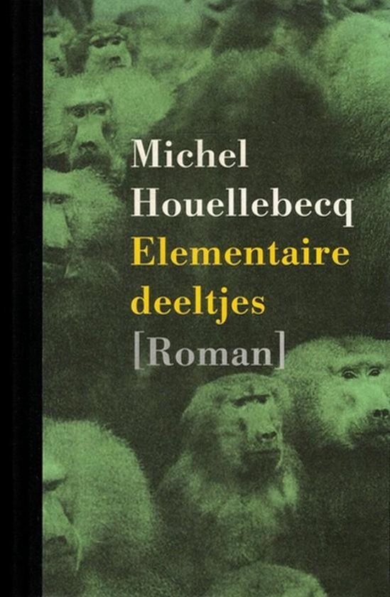 Elementaire Deeltjes — boekomslag