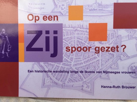 Op een zijspoor gezet — boekomslag
