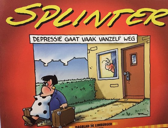 Splinters — boekomslag