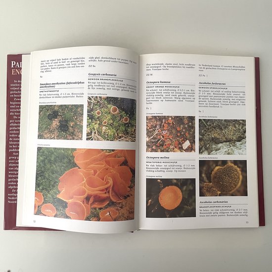 Paddenstoelen encyclopedie — boekomslag