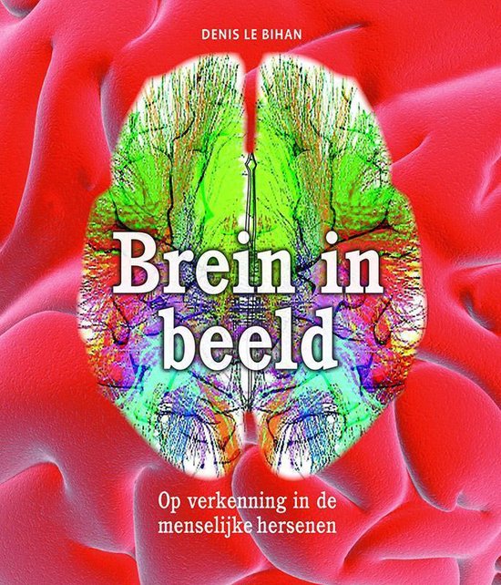 Brein in beeld — boekomslag