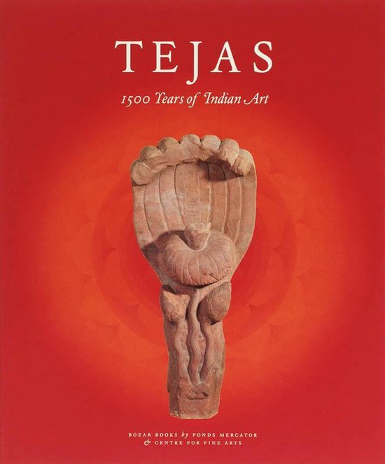 Tejas Eternal Energy — boekomslag