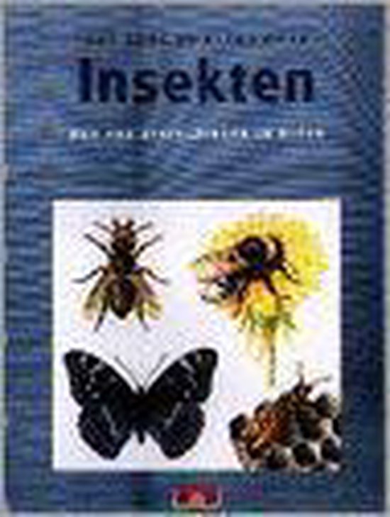 BOEK IN KLEUR OVER INSEKTEN — boekomslag