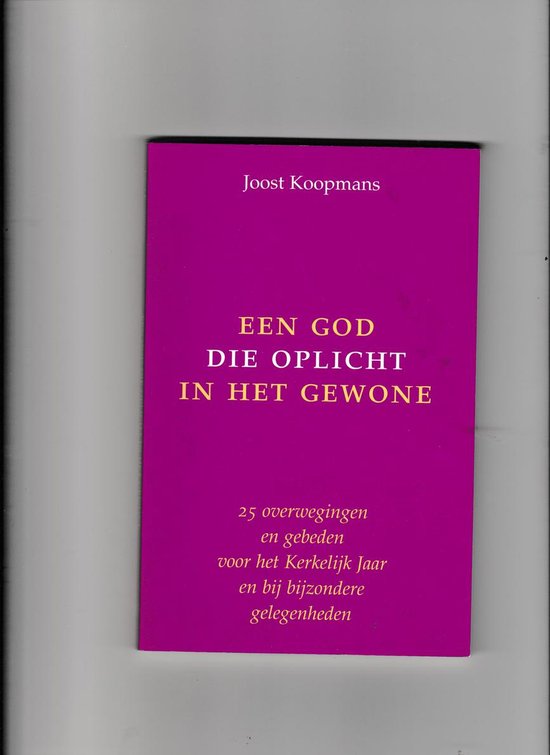 Een God die oplicht in het gewone — boekomslag