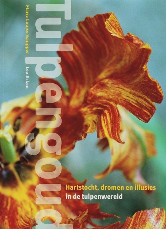 Tulpengoud — boekomslag