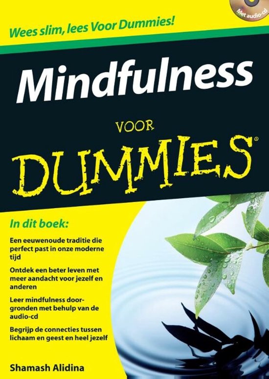 Voor Dummies - Mindfulness voor Dummies — boekomslag