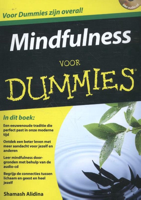 Voor Dummies - Mindfulness voor Dummies — boekomslag