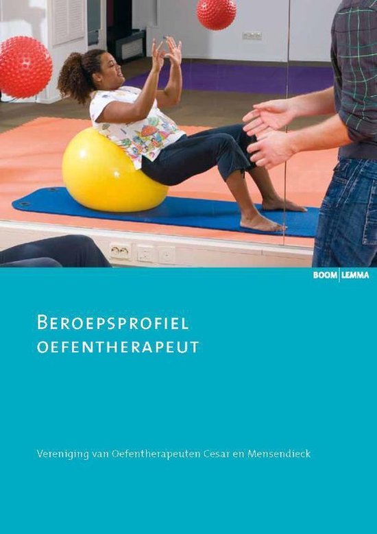Zorginnovatie - Beroepsprofiel Oefentherapie — boekomslag