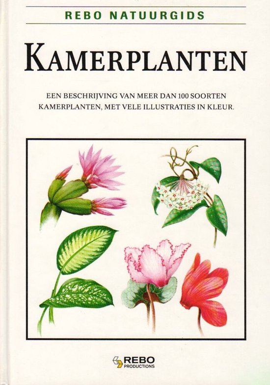 KAMERPLANTEN — boekomslag