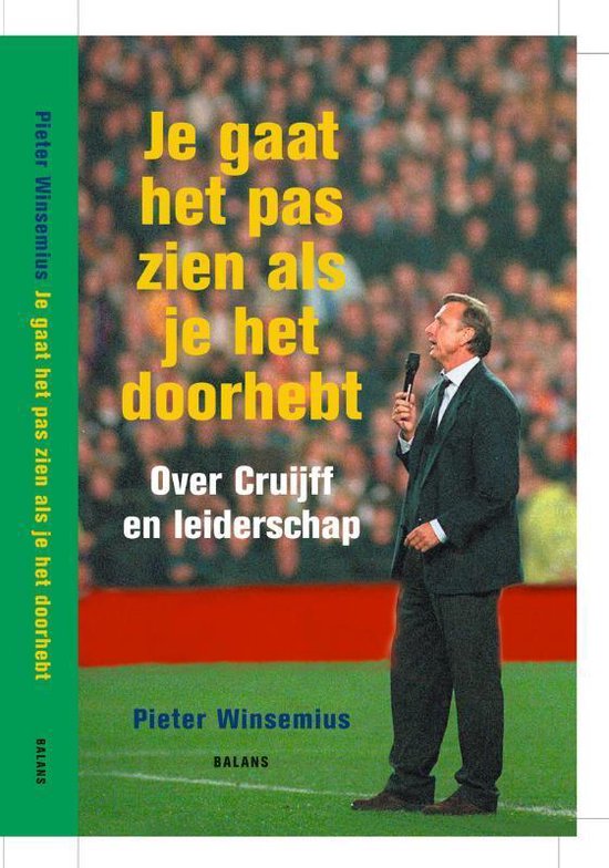 Je gaat het pas zien als je het doorhebt - P. Winsemius — boekomslag