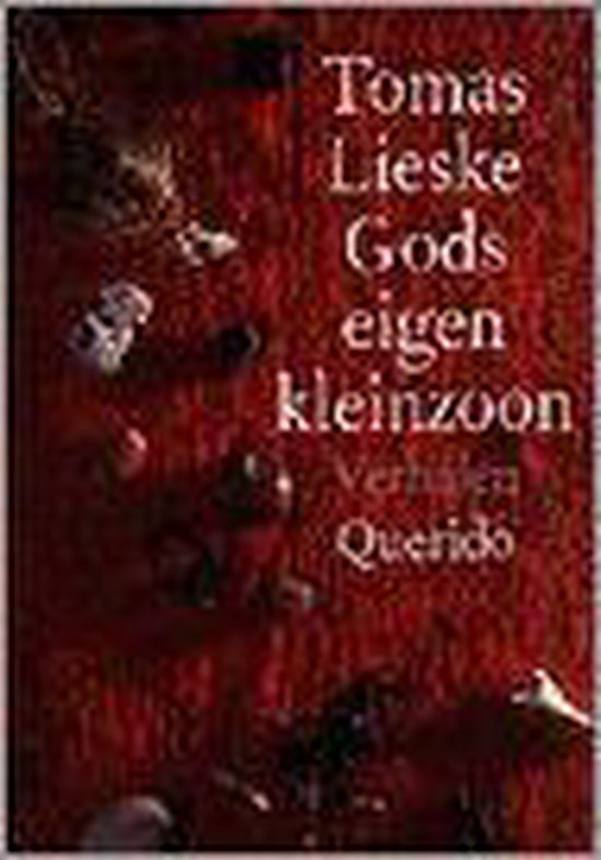Gods eigen kleinzoon — boekomslag