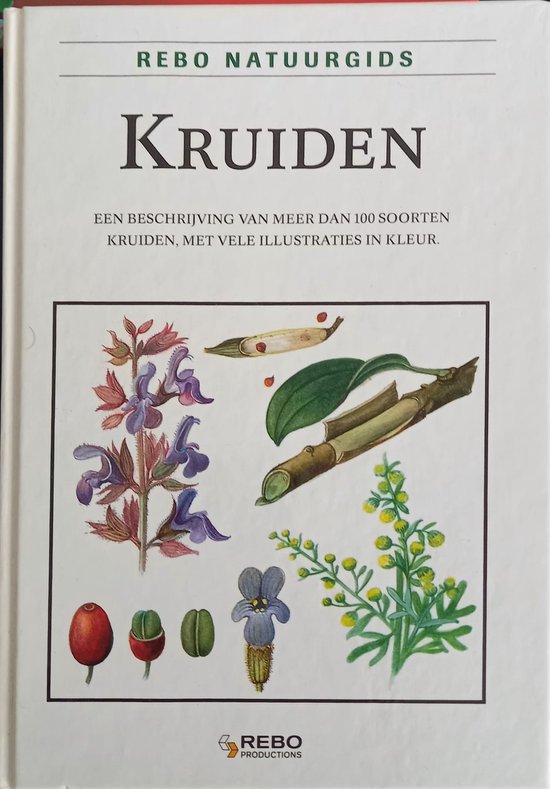 Kruiden | Jan Kybal — boekomslag