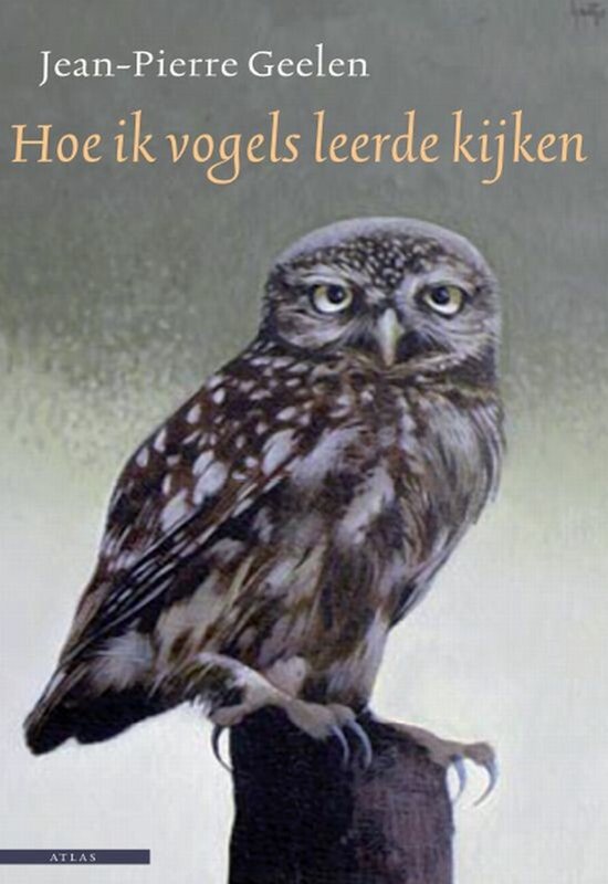 Blinde Vink — boekomslag
