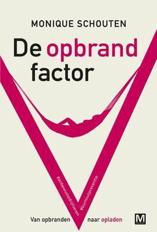 De opbrandfactor — boekomslag