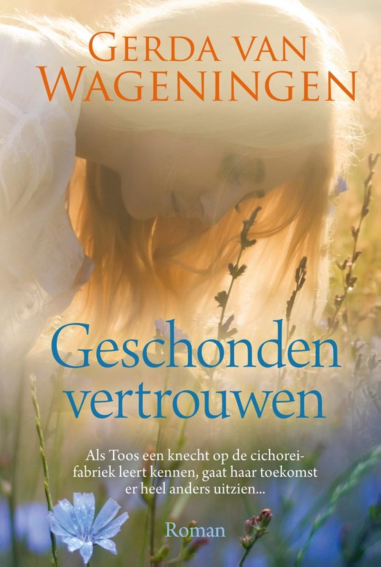 Geschonden vertrouwen — boekomslag