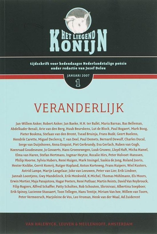 Liegend Konijn — boekomslag