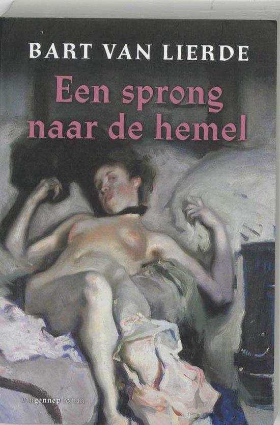 Een Sprong Naar De Hemel — boekomslag