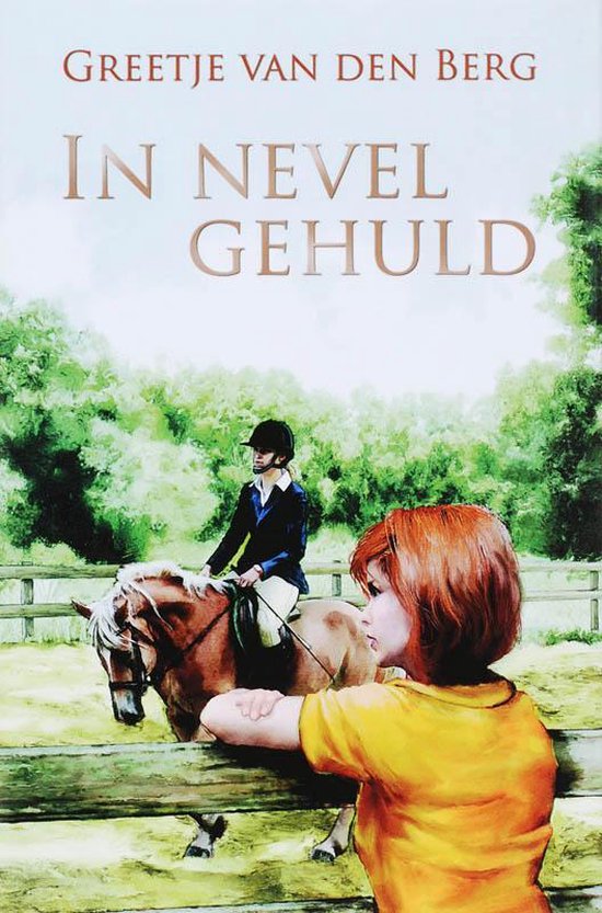 In Nevel Gehuld — boekomslag