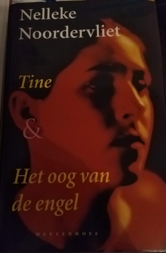 Tine En Het Oog Van De Engel — boekomslag